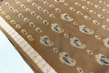Load image into Gallery viewer, Raw Umber Georgette Silk Sari