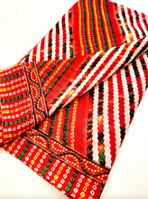 Load image into Gallery viewer, Sky Dancer Chunri Sari
