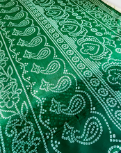 Load image into Gallery viewer, Dewdrop Veil Chunri Sari
