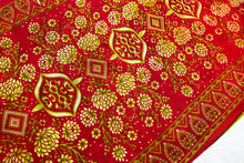 Load image into Gallery viewer, Rangeeli Spring Sari
